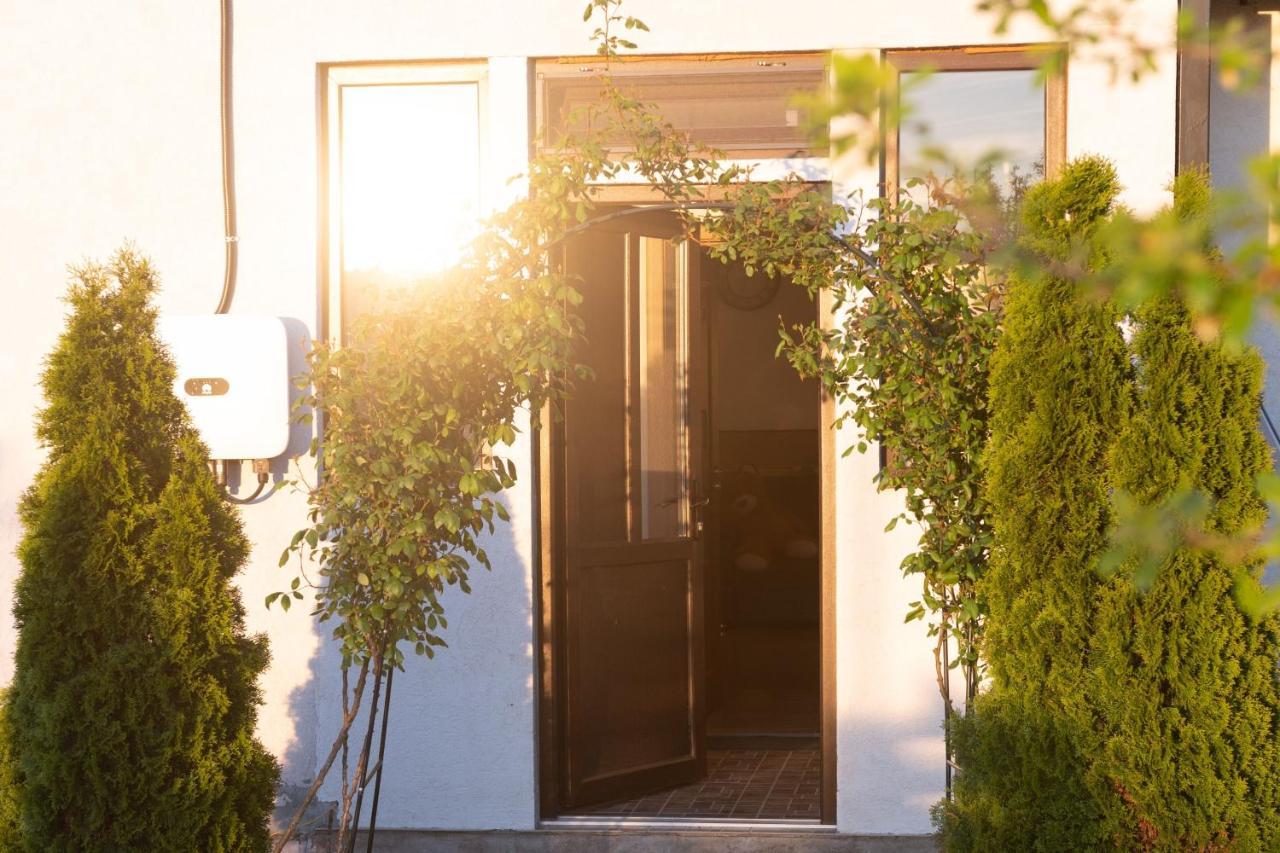 Hotel Casa Dumitrescu Năvodari Zewnętrze zdjęcie